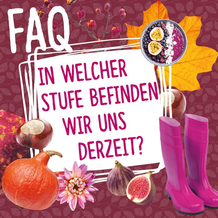 Wir fiebern dem Start des Stuttgarter MesseHerbsts am Donnerstag entgegen und freuen uns, euch durch unser Safe-Expo-Hygienekonzept die Rahmenbedingungen für einen sicheren und entspannten Aufenthalt bei uns zu bieten. Verständlicherweise habt ihr noch...